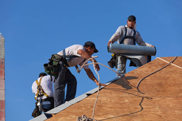 Best Flat Roof Repair Services  in Canton Valley, CT